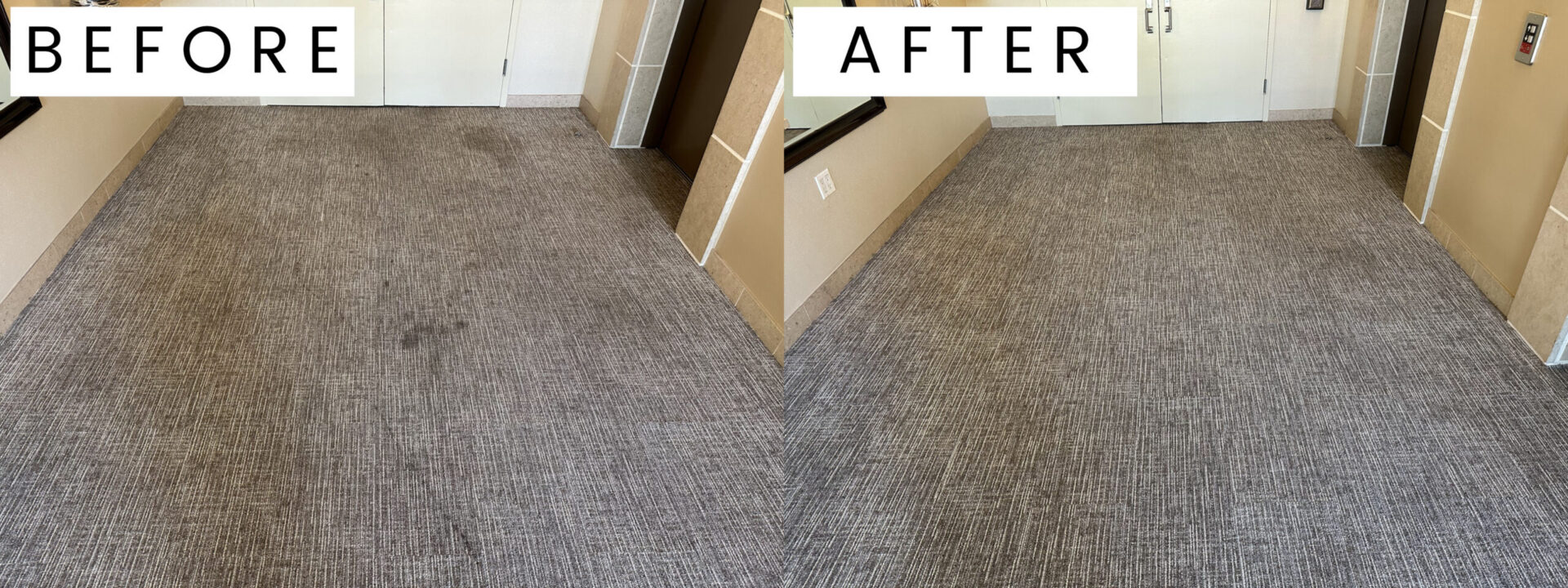 BA-Carpet-Stains-scaled