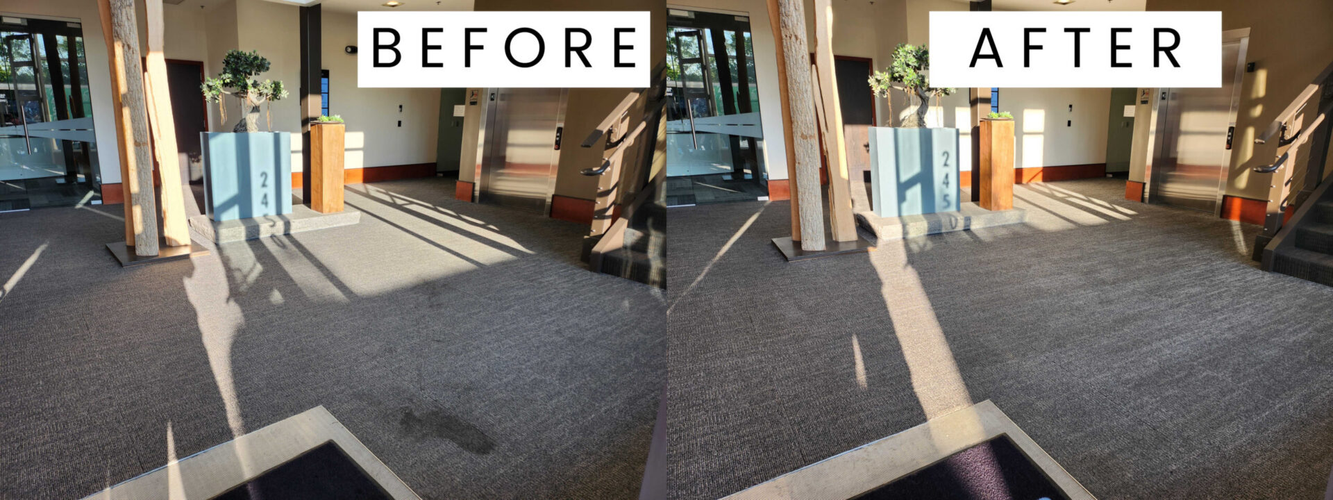 BA-Front-Entry-Carpet-scaled