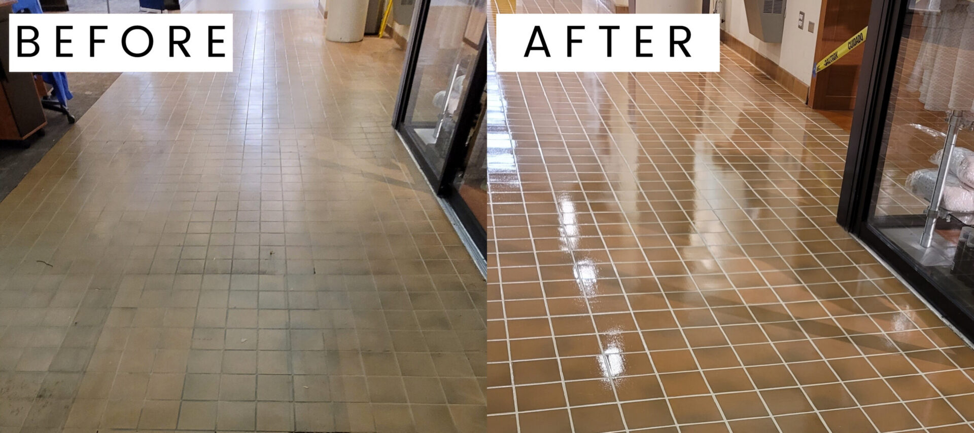 Chicago-TG-Color-stain-and-775-BA-scaled